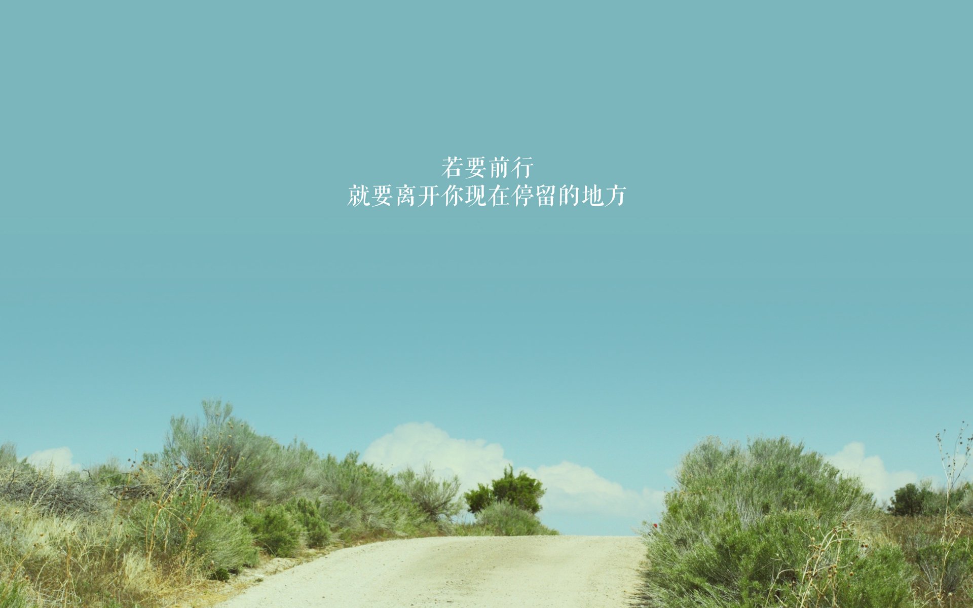 Kaiyun APP-顶级硬地赛：反应速度与技术的终极比拼
