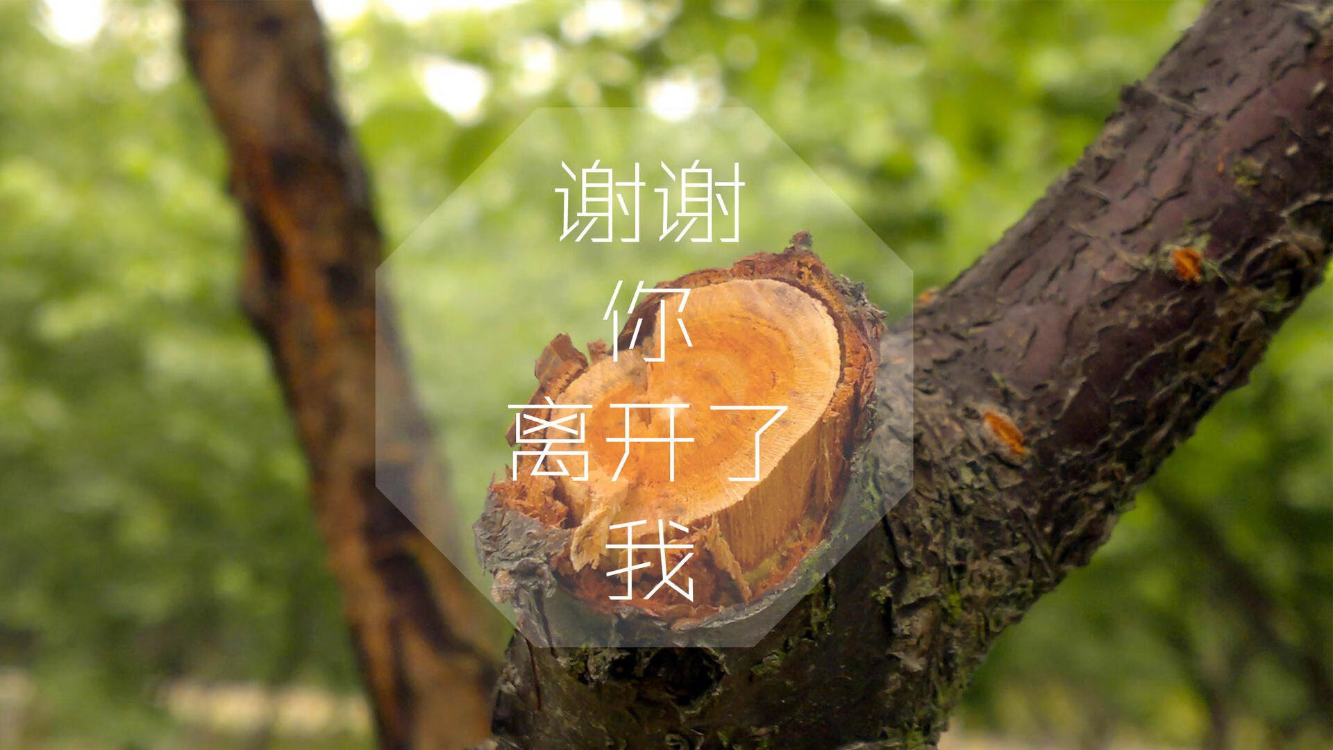 kaiyun官方网站-欧洲足坛的精彩对决，谁能笑到最后？，欧洲足球比赛视频