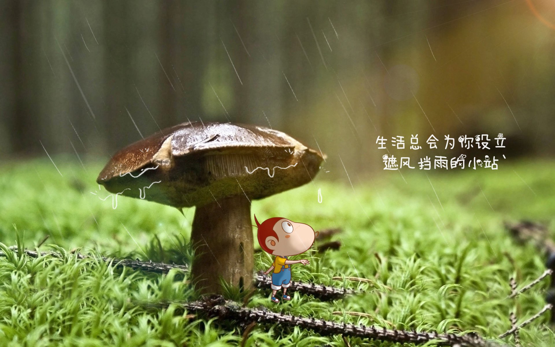 开云官网APP下载-青年球员是否应提前适应多种战术体系，年轻人球队比赛