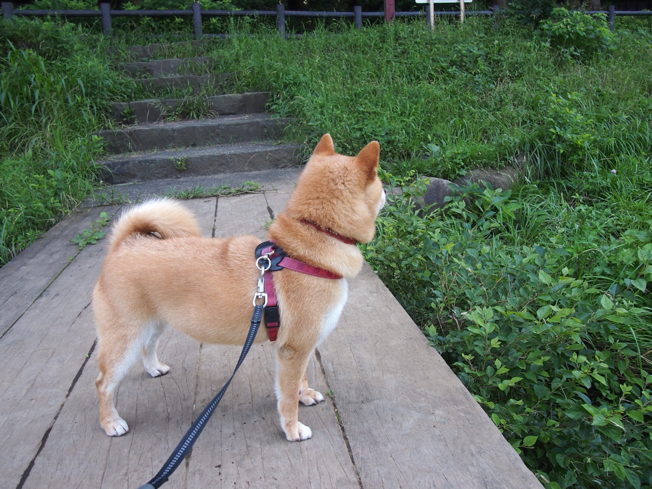 kaiyun官方网站-西雅图未来发展战略受业内肯定，西雅图未来发展战略受业内肯定影响吗