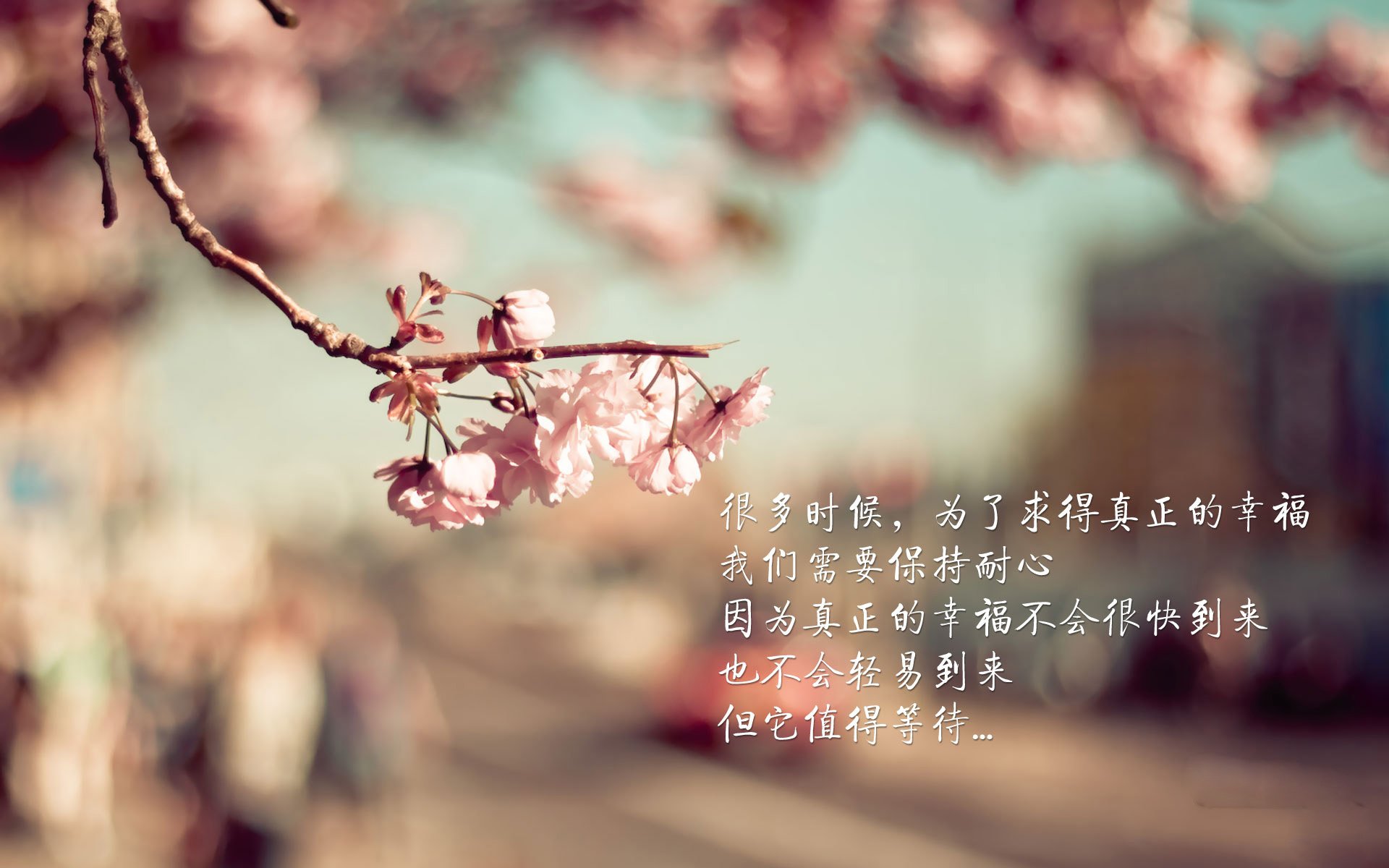 开云平台-边路球员是否具备中场组织能力成为新趋势,边路足球是什么意思