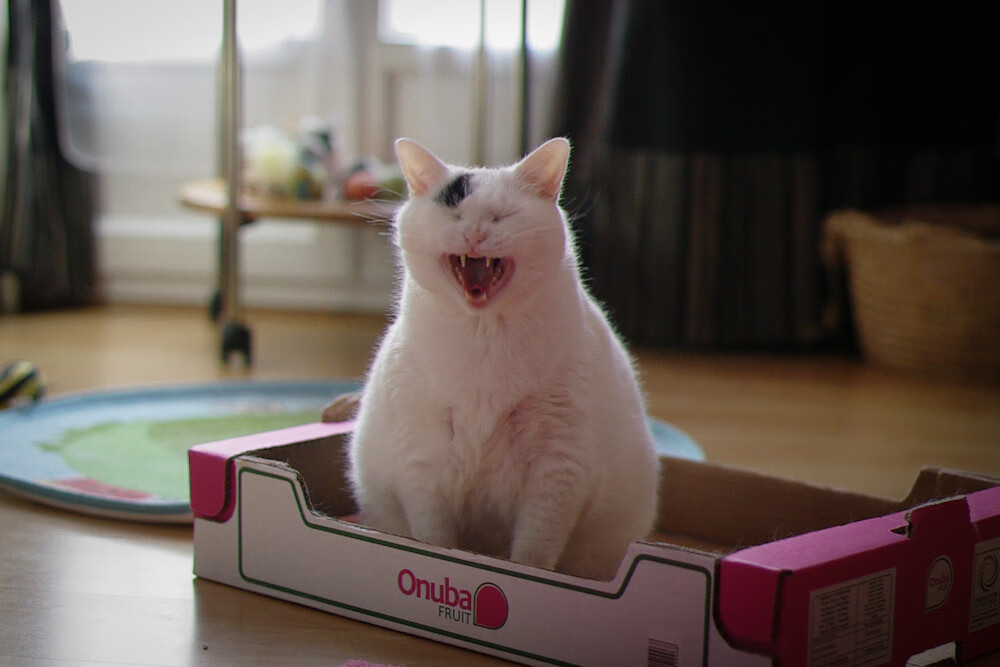 Kaiyun APP-门兴格拉德巴赫高位逼抢打断节奏衔接，门兴格拉德巴赫在哪个城市