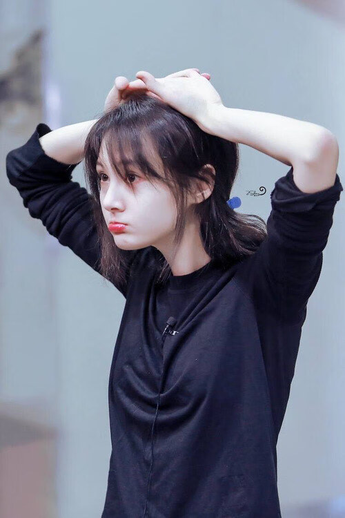 开云入口-“尼古拉斯·桑特基：阿根廷美洲狮队的组织大师，未来成就新辉煌”