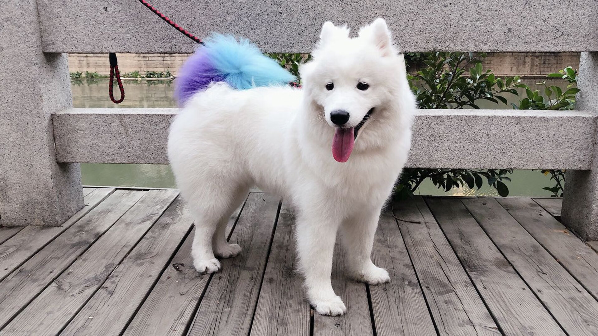 Kaiyun APP-中国篮球探索智能装备辅助提升投篮精准度,篮球训练辅助工具