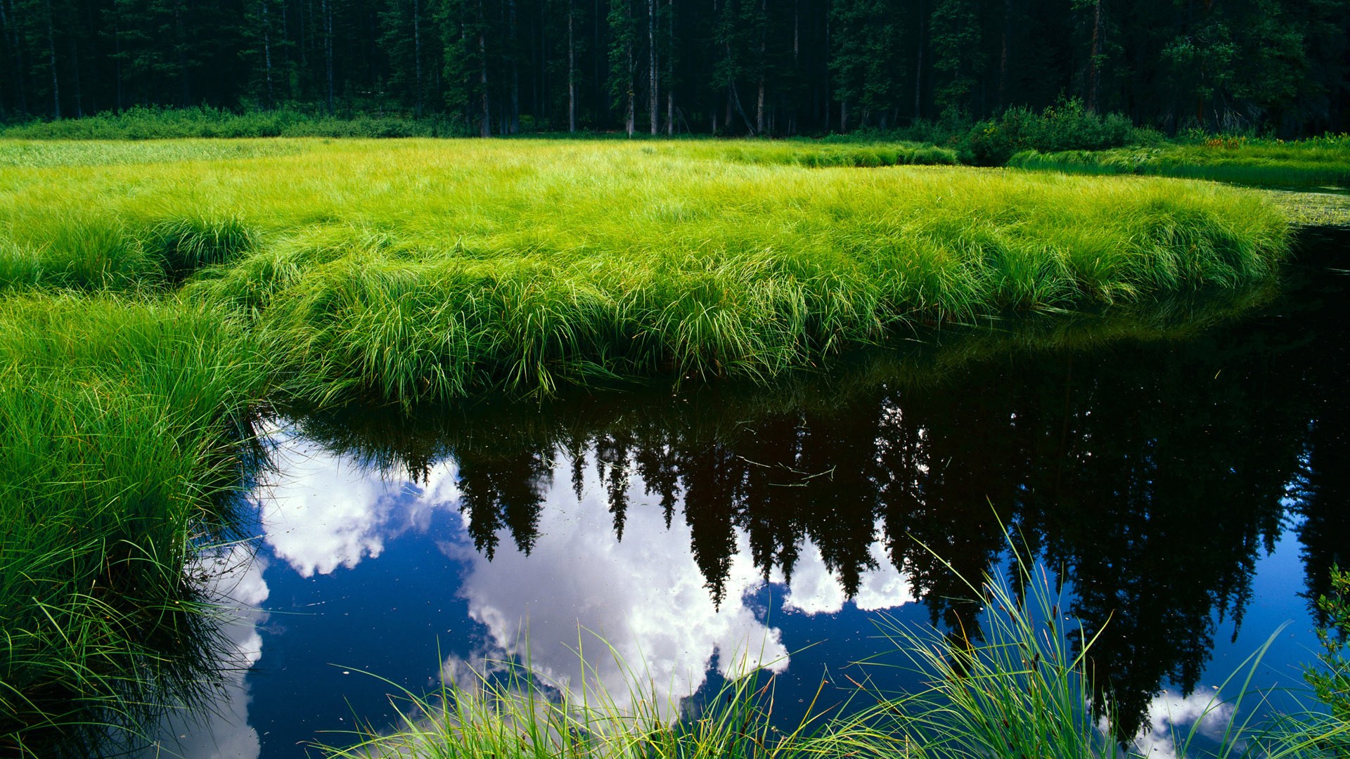 KAIYUNAPP-中国足球青训管理团队采用系统性教练排班计划,中国足球青训体系