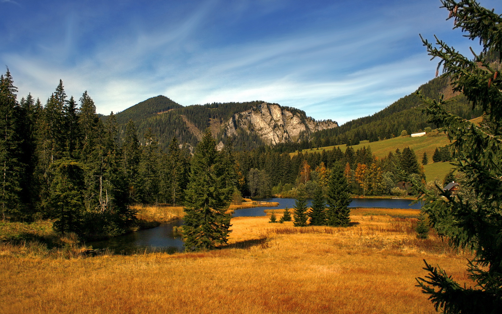 开云网站-国家队引进新战术系统多角度提升整体进攻效率，进军国家队