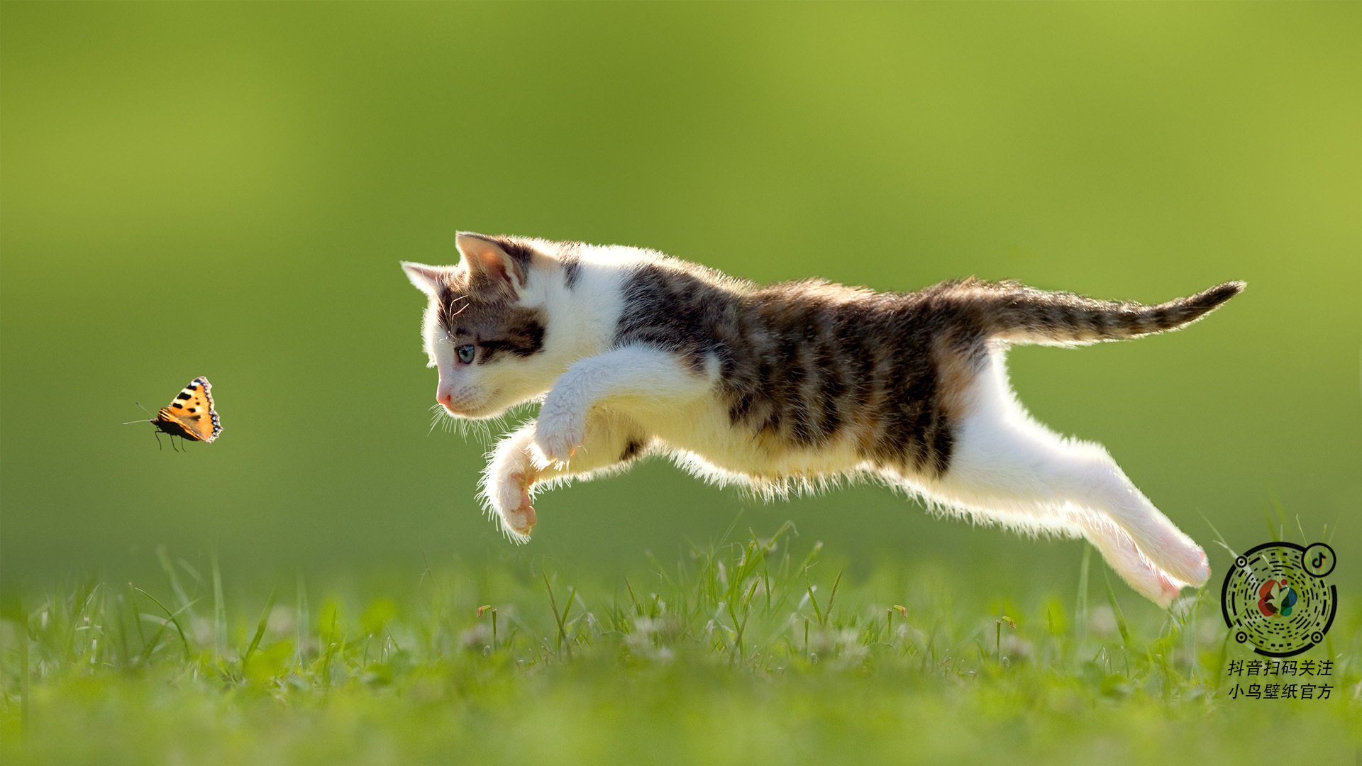 Kaiyun官方登录入口-施瓦茨以高配速完成前400米，施瓦茨科普