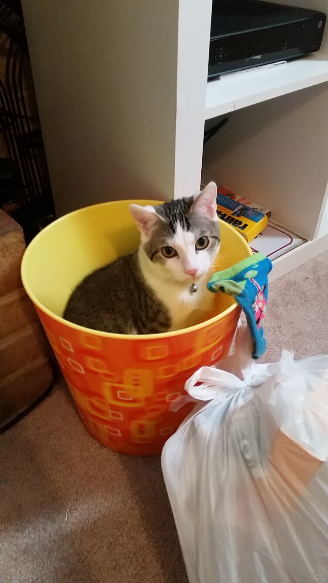 开云官方网站-水球小组赛突尼斯战术灵活多变