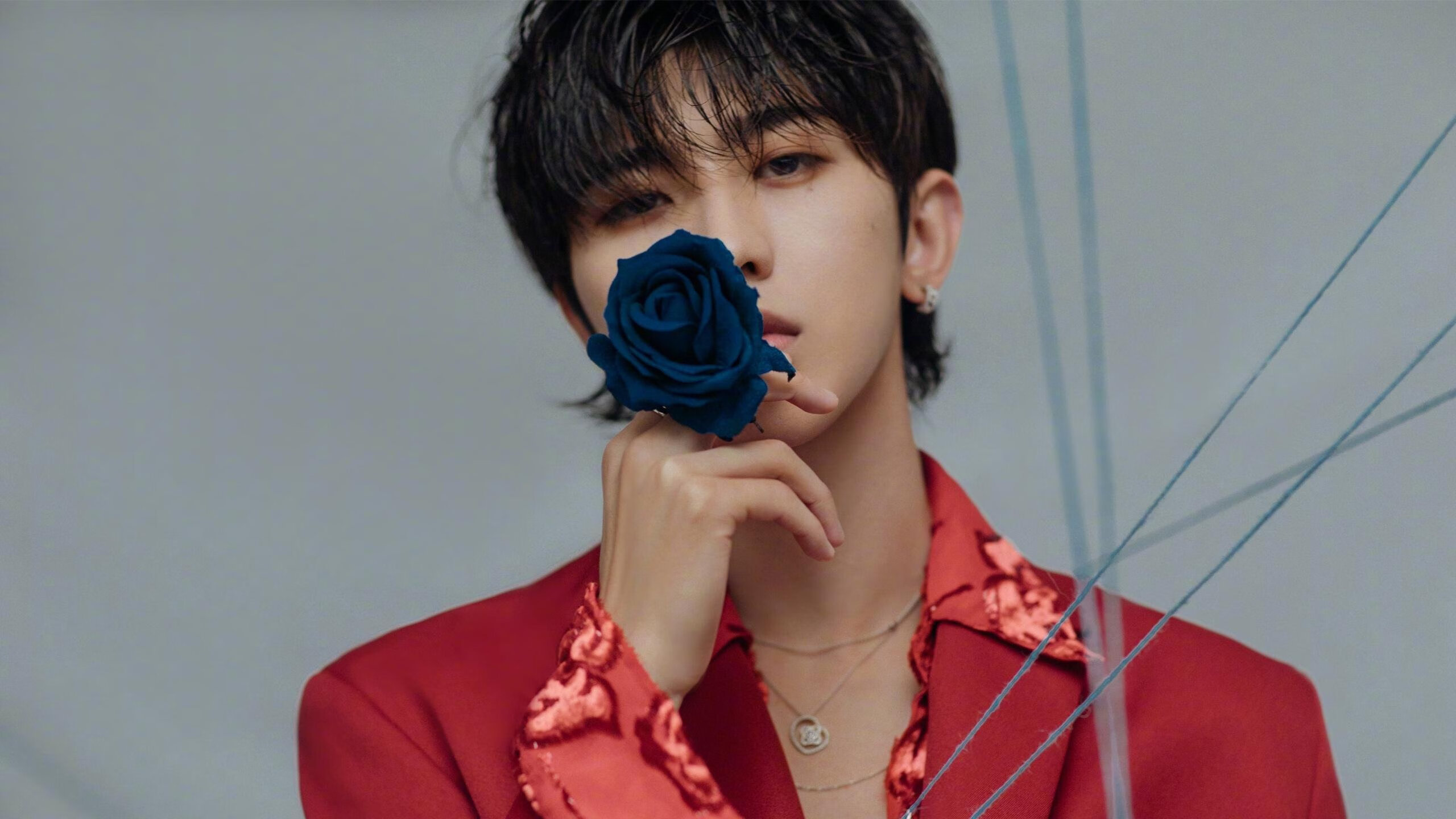 KAIYUNAPP-澳大利亚队展现强大实力摘得冠军,澳大利亚队厉害吗