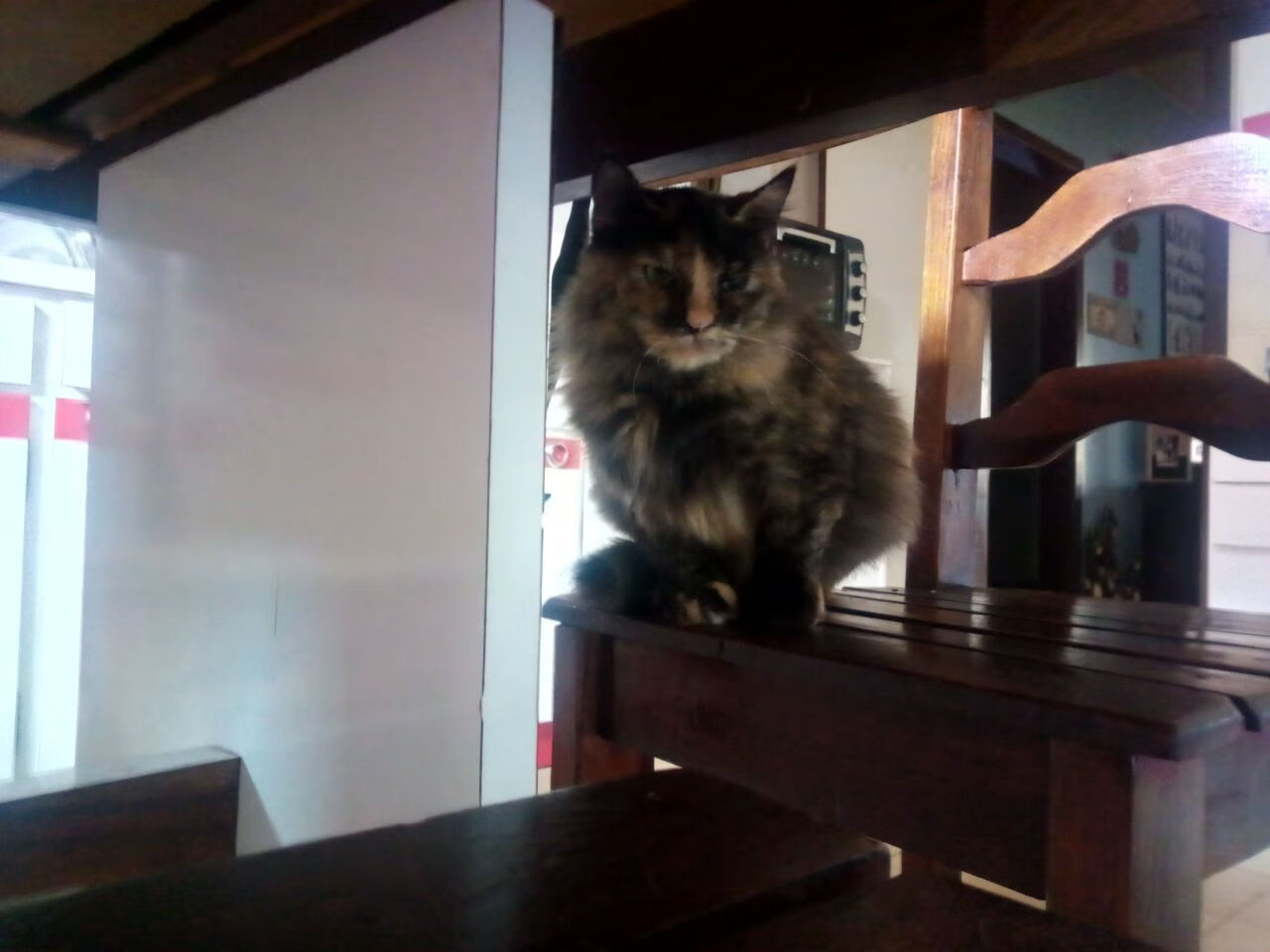 KAIYUN 中国大陆-职业球员体能训练方案个性化设置保障状态稳定输出,球员体育