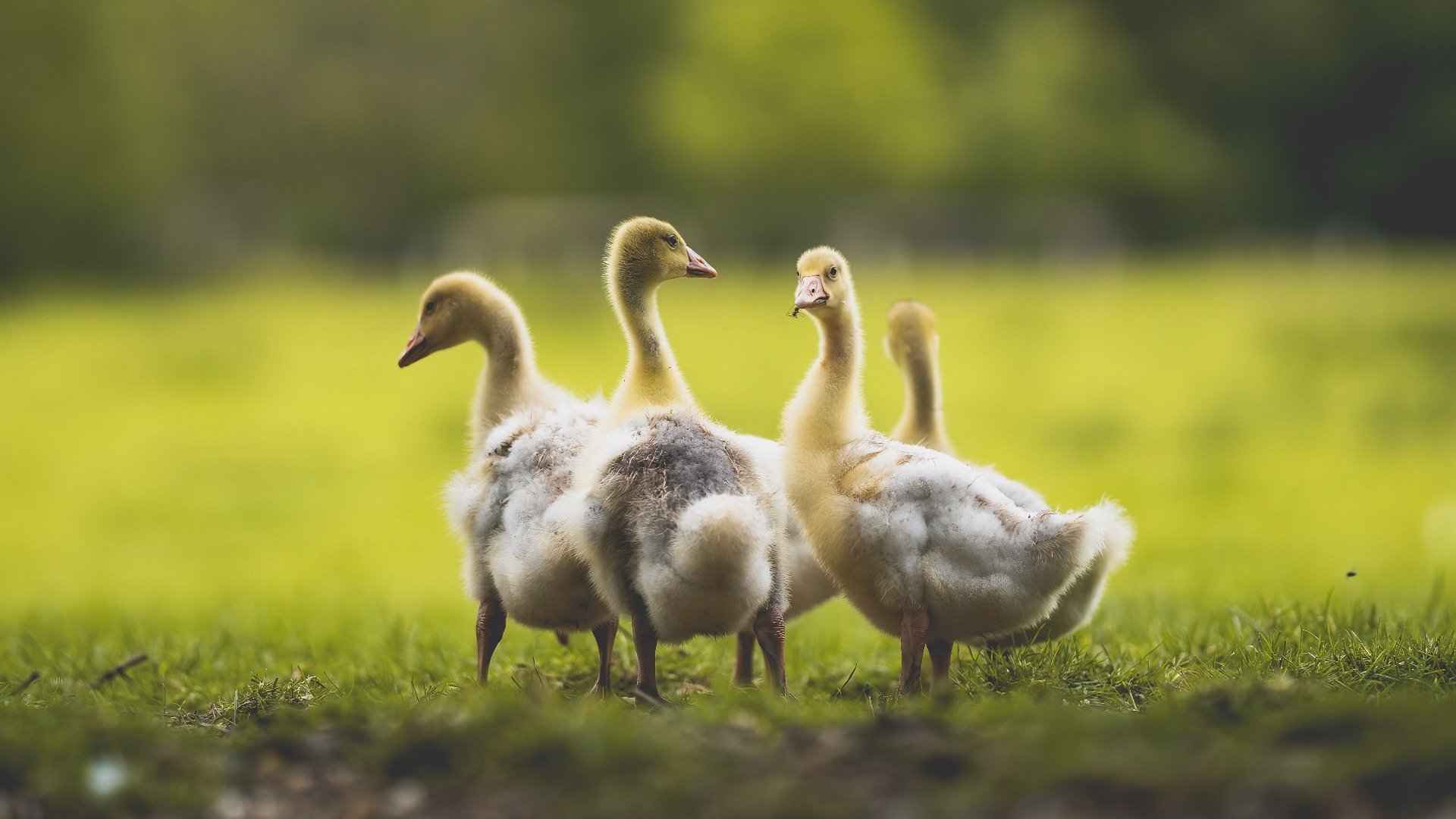 Kaiyun官方登录入口-赛场舞台设计创新，转播效果获好评，比赛舞台背景