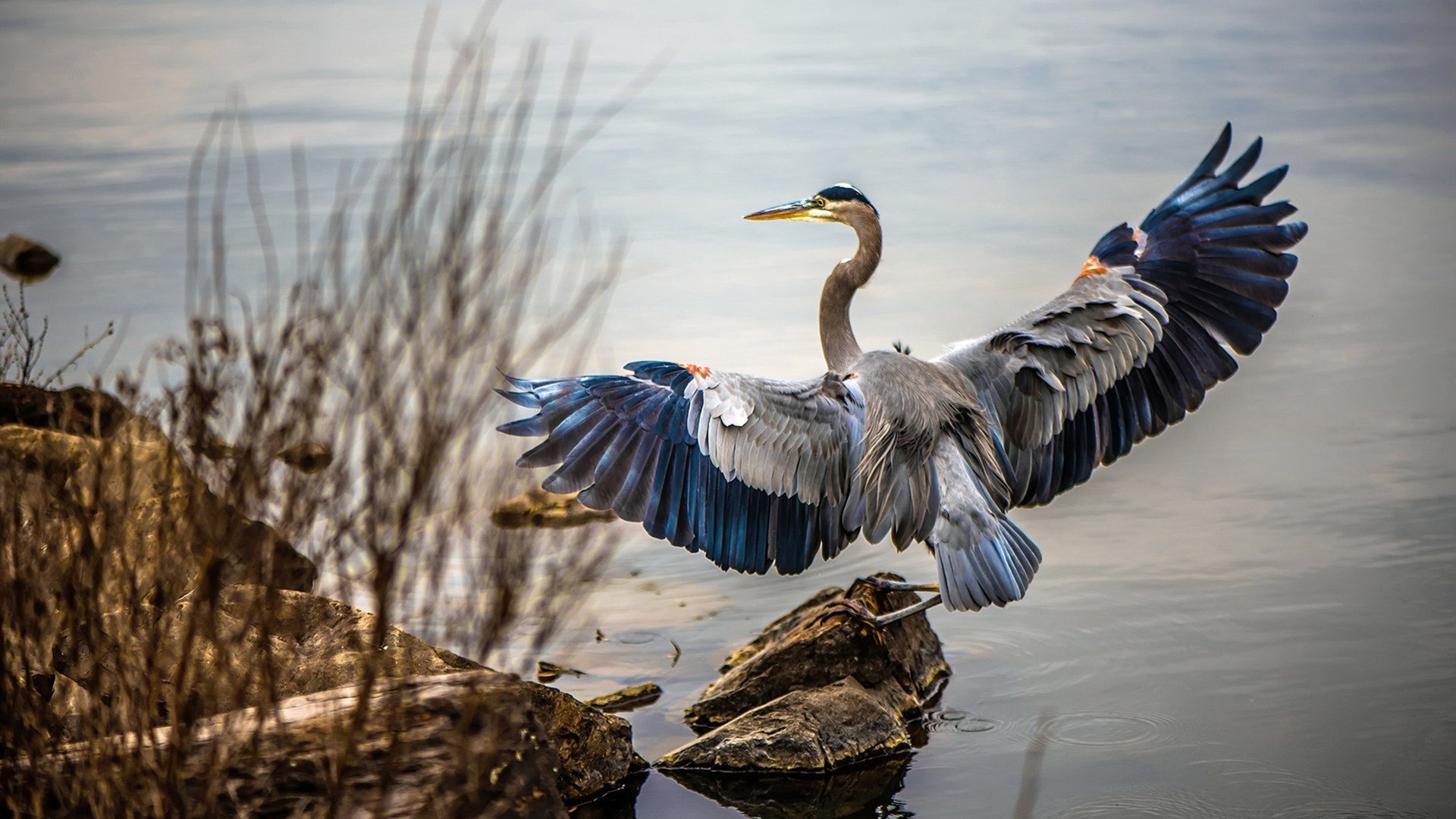开云入口-跳水表现亮眼吉尔吉斯斯坦获高分，吉尔吉斯斯坦降水